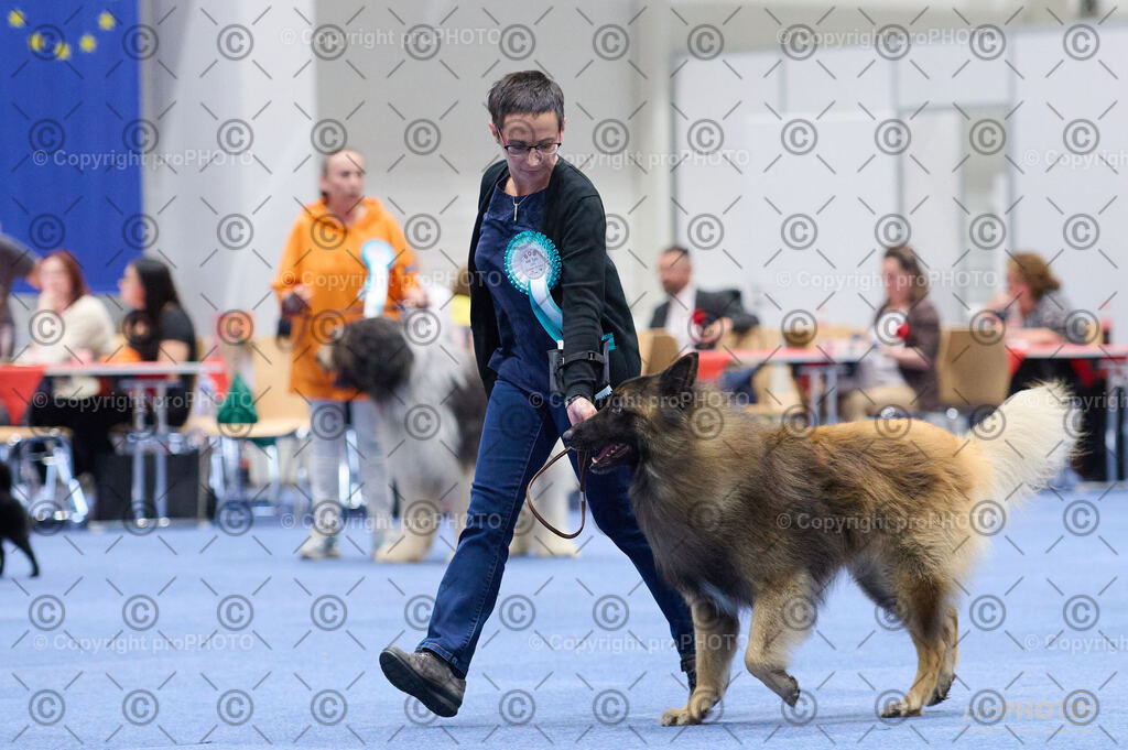 202406_ÖKV-IHA-Tulln24_DSC_2883 | proPHOTO - Realisiert mit Pictrs.com