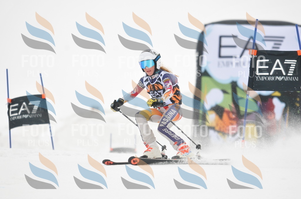 DSC_7661 | holidayphoto