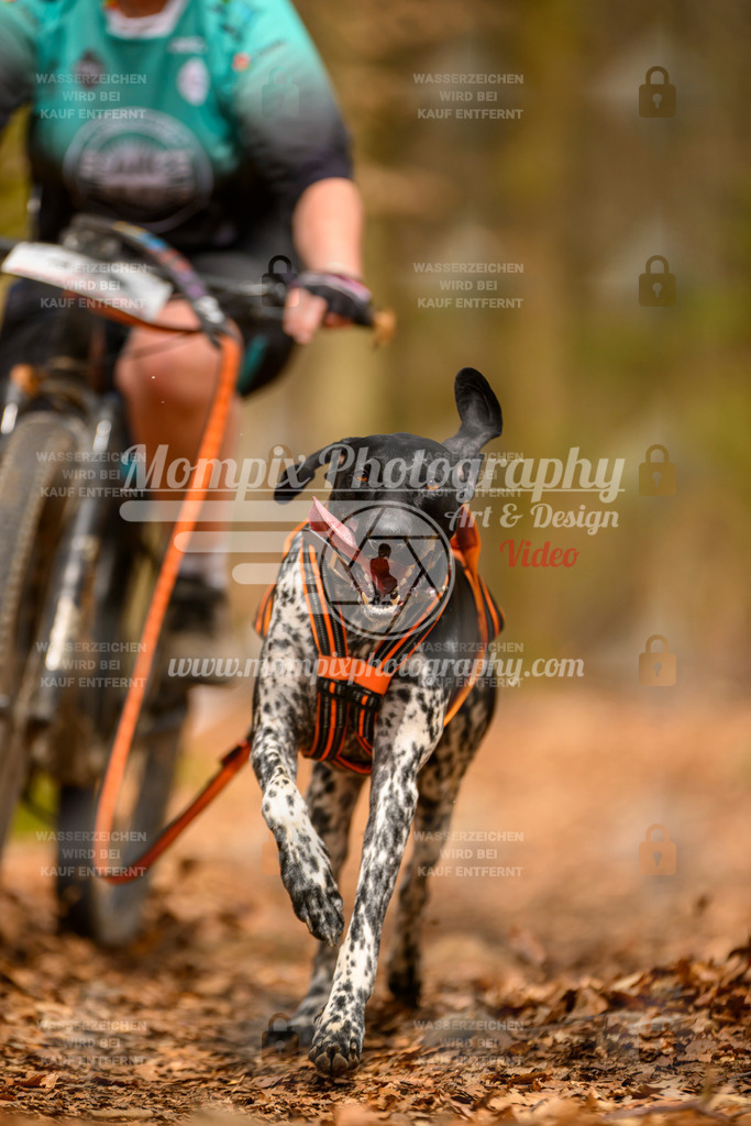 MompixPhotography_Habay2025_SA_Bike-177 | PayLife