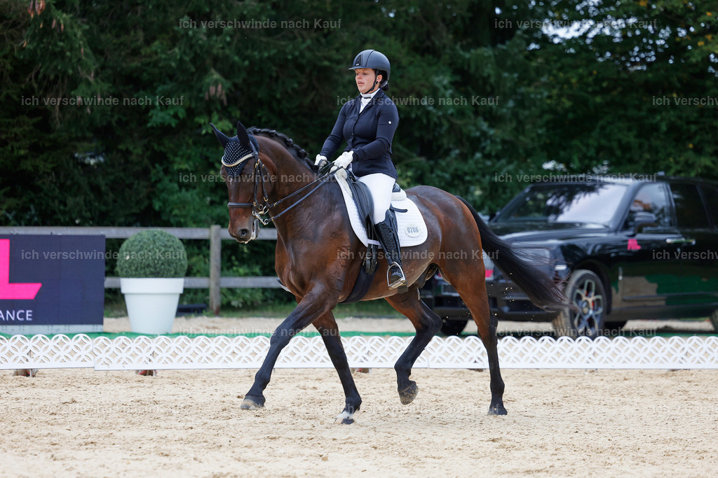 04_2-206-Dressur M__ -StoibPH-2925 | working equitationturnier fotograf videograf stoibphotography marixx film working equitation deutschland reitsport turnierfotografie eventfotografie equestrian events
