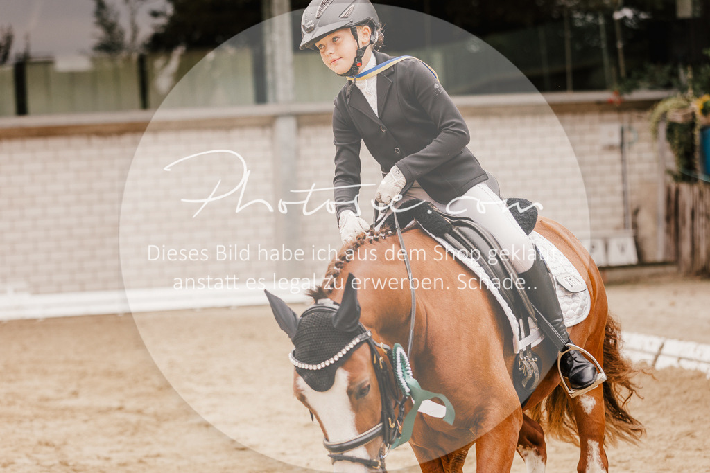 3I6A0009 | Stimmungsvolle Portraits und Reitsportfotografie im Ruhrgebiet und im Münsterland.

Pferdefotografie, Hundefotografie, Tierfotografie, Reportagen, Portraits von Tier und Mensch, Turnierfotografie in Bochum, Recklinghausen, Marl, Haltern am See, Dülmen.. - Realisiert mit Pictrs.com