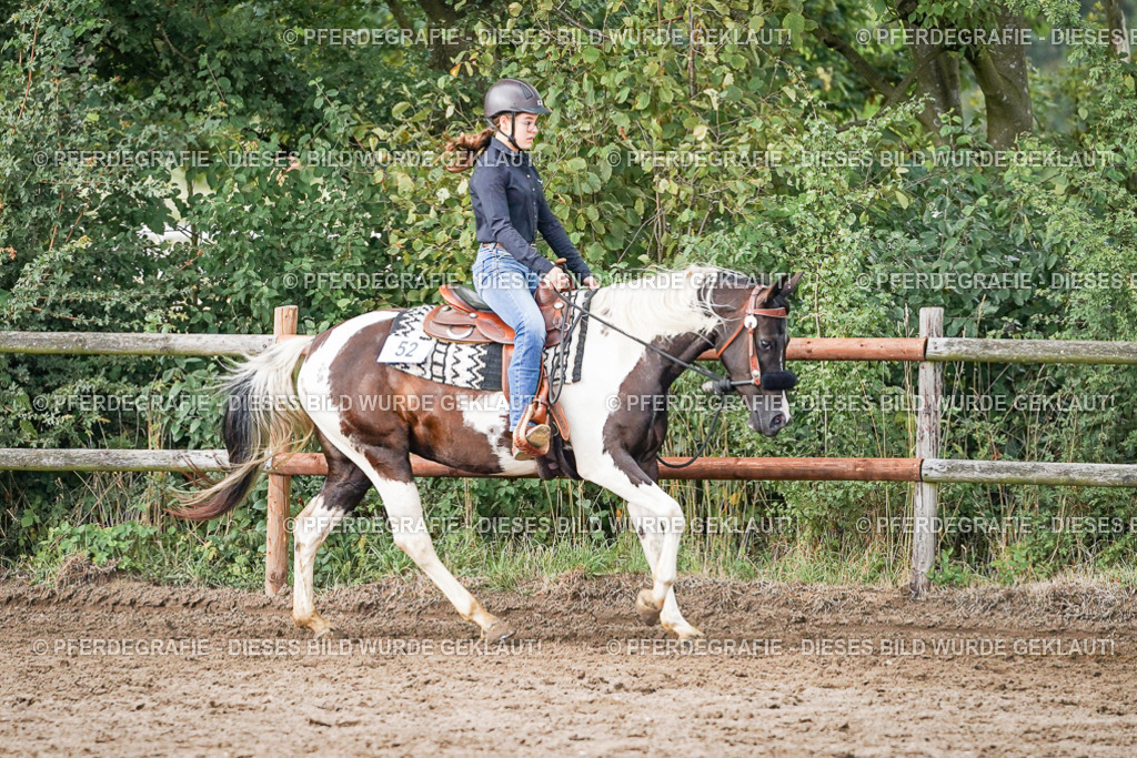 DSC08913 | Pferdegrafie