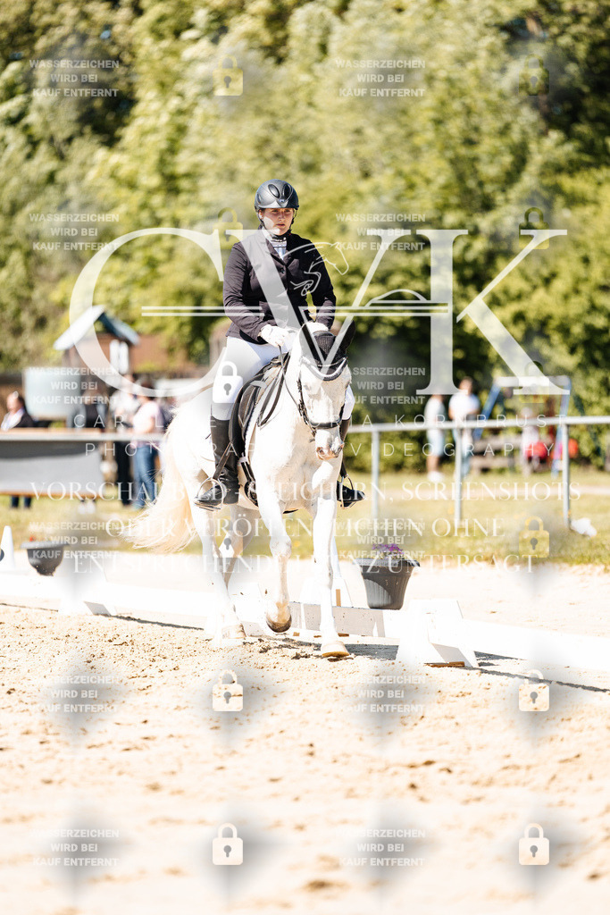 CK905559 | Turnierfotografie Pferdefotografie Trier Rheinland-Pfalz Pferdesport Reitsport Tierfotografie Sportfotografie Pferdevideo Pferdevideografie Equestrianvideography equestrianphotography  - Realisiert mit Pictrs.com