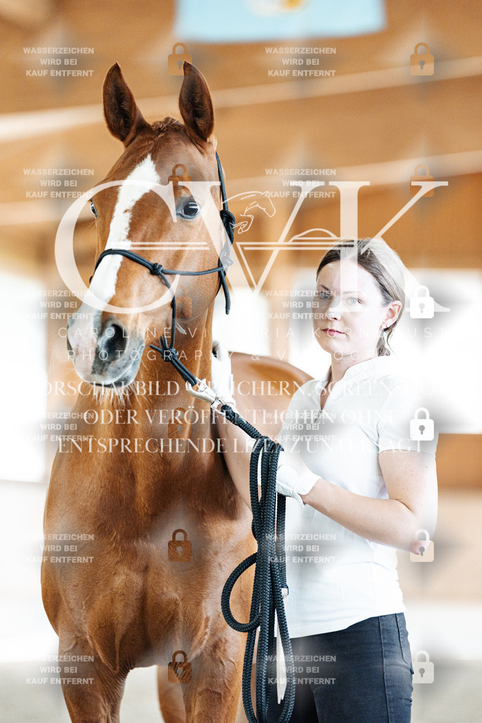CK907685 | Turnierfotografie Pferdefotografie Trier Rheinland-Pfalz Pferdesport Reitsport Tierfotografie Sportfotografie Pferdevideo Pferdevideografie Equestrianvideography equestrianphotography  - Realisiert mit Pictrs.com
