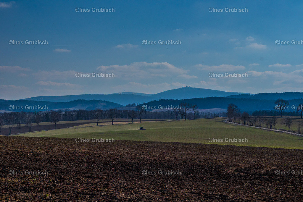 Keilberg und Fichtelberg | Lila Lubbenbomm - Artwork by Ines Grubisch - Realisiert mit Pictrs.com