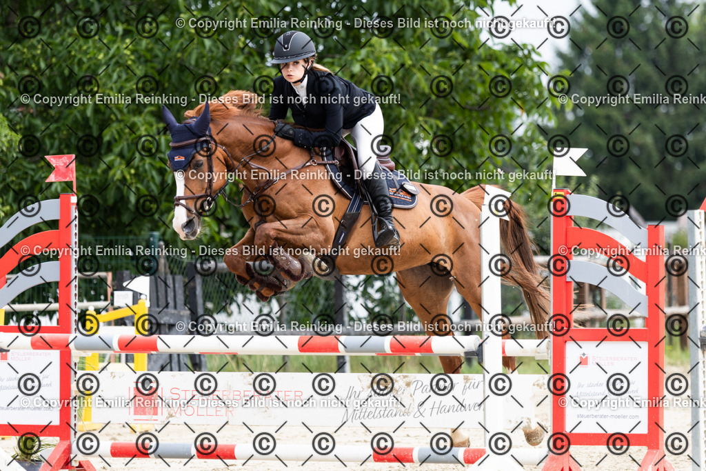 CL5A8210 | Emilia Reinking Fotografie - Realisiert mit Pictrs.com