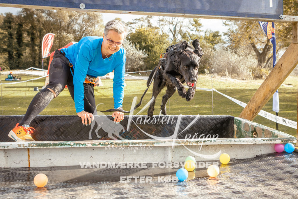 1354_ZZ92731-2 | kk-dogfotos