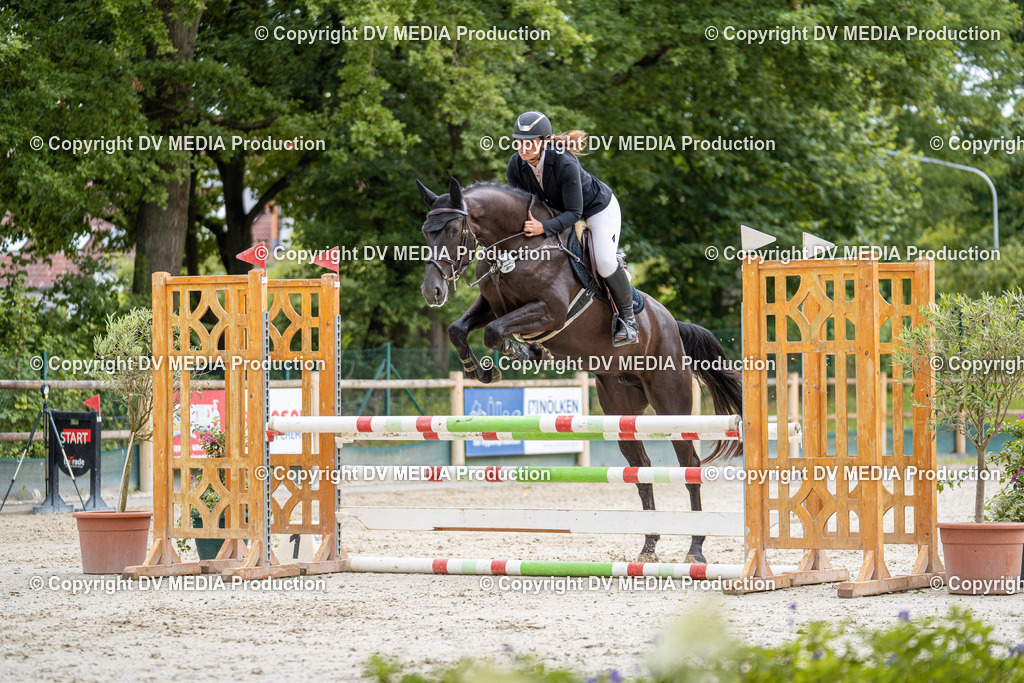 Hessische Tag 1-062 | dv-media-shop - Realisiert mit Pictrs.com