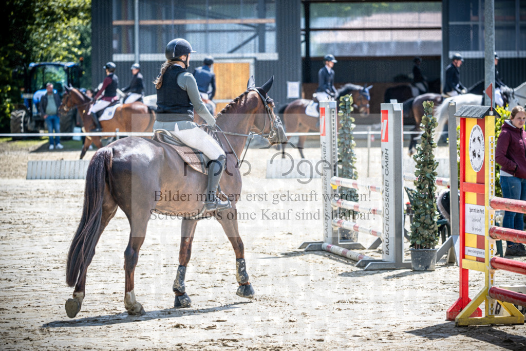 DOS_1485 | Reitturnier Lüdinghausen - Realisiert mit Pictrs.com