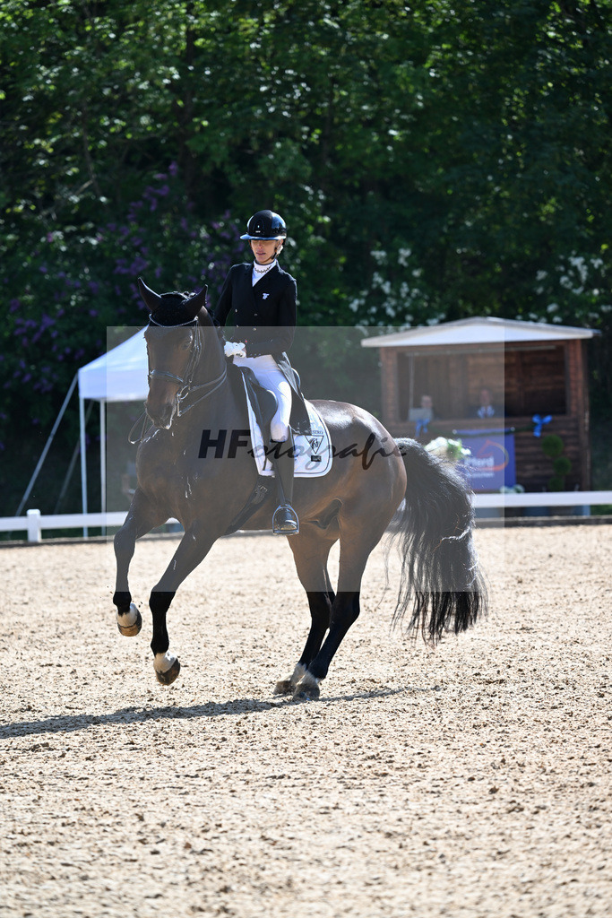 Equistro Dressurderby_26268026 | hf-fotografie - Realisiert mit Pictrs.com