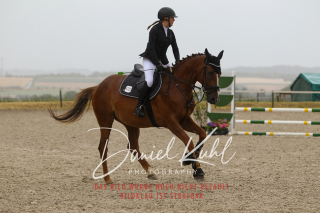 DKP47368 | Turniersportfotografie; Pferdefotografie; Dressurfotografie