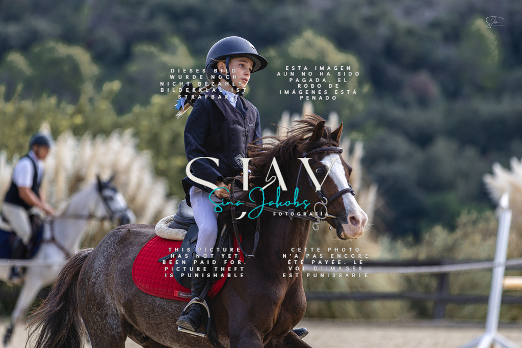 IMG_5687 | s-jay-photography - Realisiert mit Pictrs.com