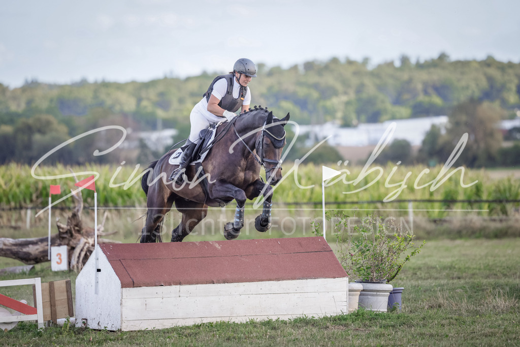 20250906-_3LI7301 | Tierfotografie Pferde, Hunde, Katzen, Haustiere.
Turnierfotografie Reitturniere, Reiten, Springreiten, Dressur in Hanau, dem Main-Kinzig-Kreis und dem Rhein-Main- Gebiet um Frankfurt