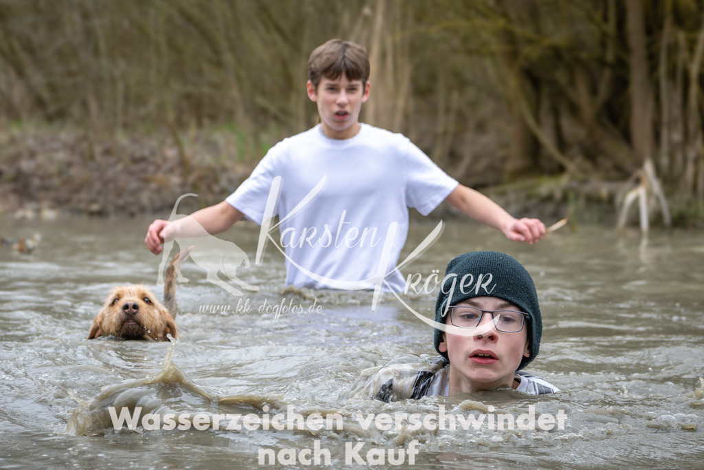 1408_ZZ96672 | kk-dogfotos