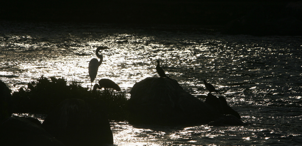 Lake Victoria | BILDER AN DIE WAND                                                verschönern sie ihr Büro, ihre Praxis oder ihre viel Wände zu Haus  - Realisiert mit Pictrs.com