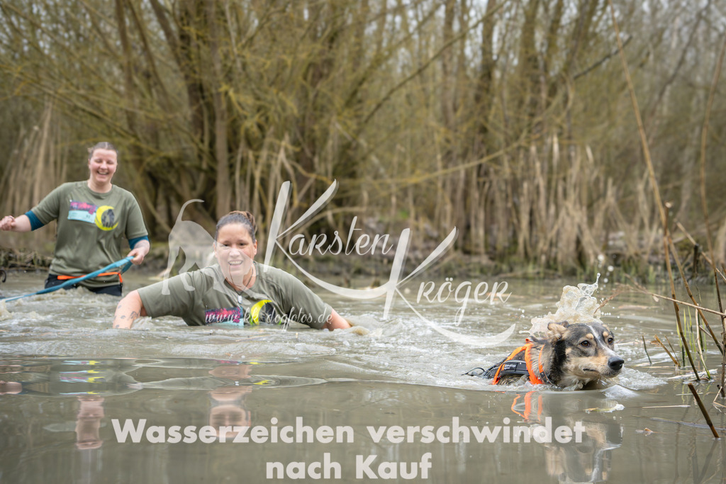 1337_ZZ90856 | kk-dogfotos