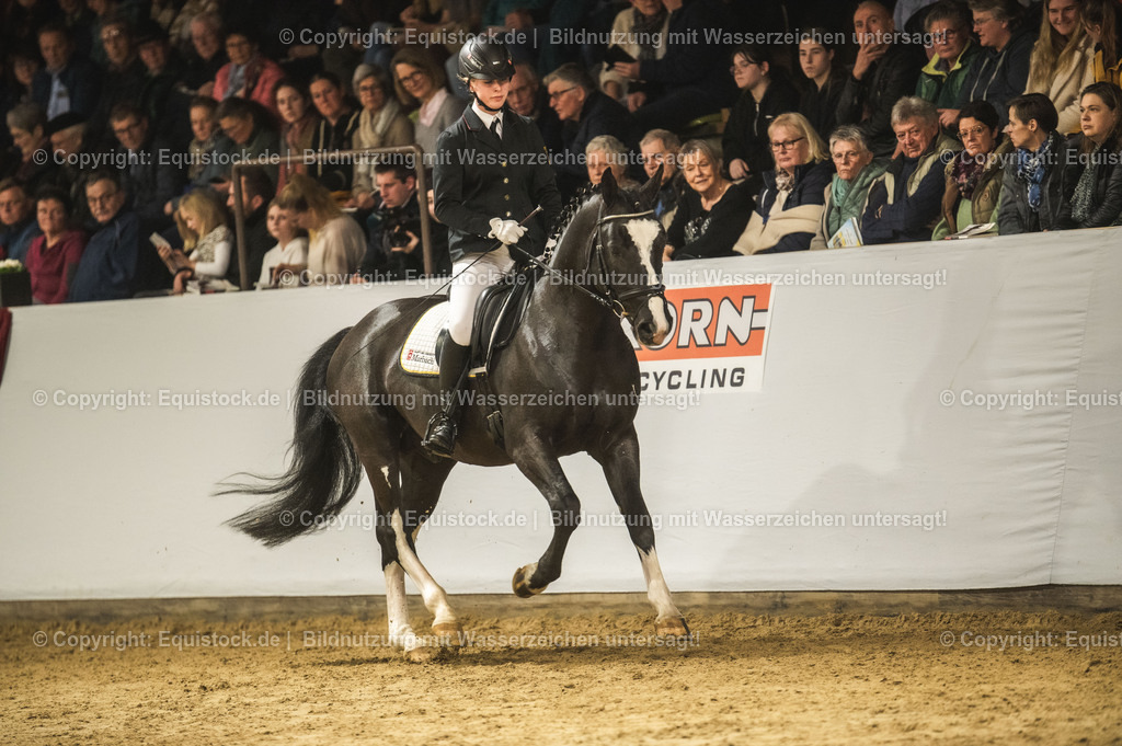 20240302_Hengstvorstellung_Marbach_TOMsPiC_0713 | equistock