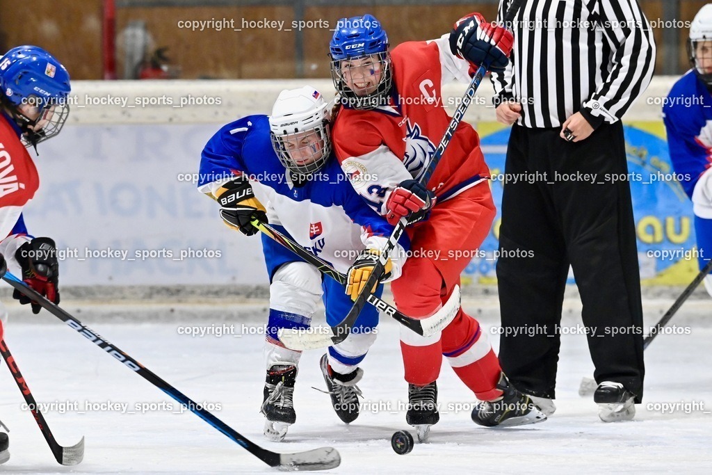 BST_5704 | hockey sports photos, Pressefotos, Sportfotos, hockey247, win 2day icehockeyleague, Handball Austria, Floorball Austria, ÖVV, Kärntner Eishockeyverband, KEHV, KFV, Kärntner Fussballverband, Österreichischer Volleyballverband, Alps Hockey League, ÖFB, 