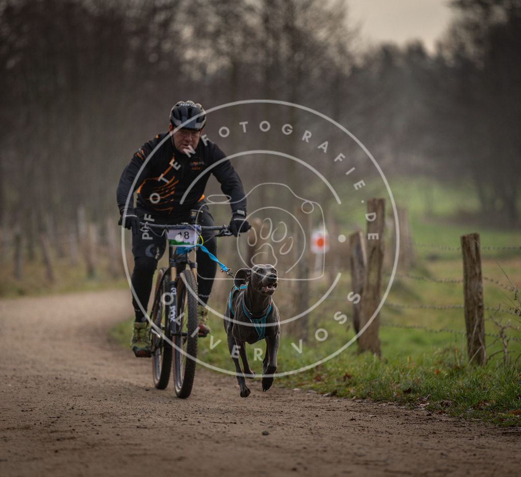 Pfotenfotografie_DV3A1918 | Hundefotografie, Tierfotograf, Pfotenfotografie, Fotoshooting Hund, Hunde Portrait, Hundesport, Hundeportraits, Heideshooting, Hunde, Sportfotograf, Hundefotograf, Turnierhundsport, THS,  - Realisiert mit Pictrs.com