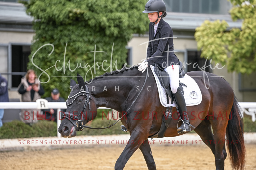 Schugtsche-Aluta25-43.EDressur -129 | Schugtsche Fotografie - Realisiert mit Pictrs.com