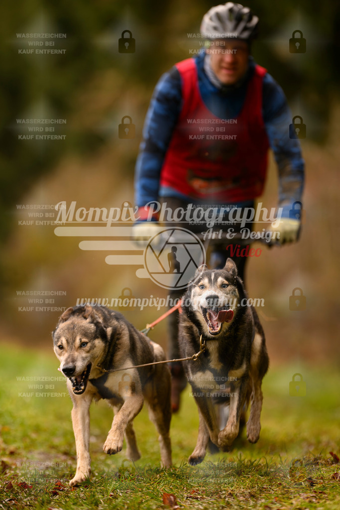 MompixPhotography_2SSTSSBW_2025_SO_Scooter-96 | PayLife