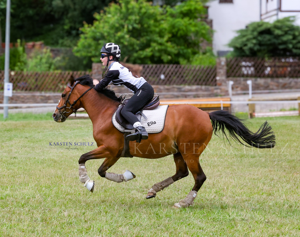 1B3A1266 | Reitsport Reiten