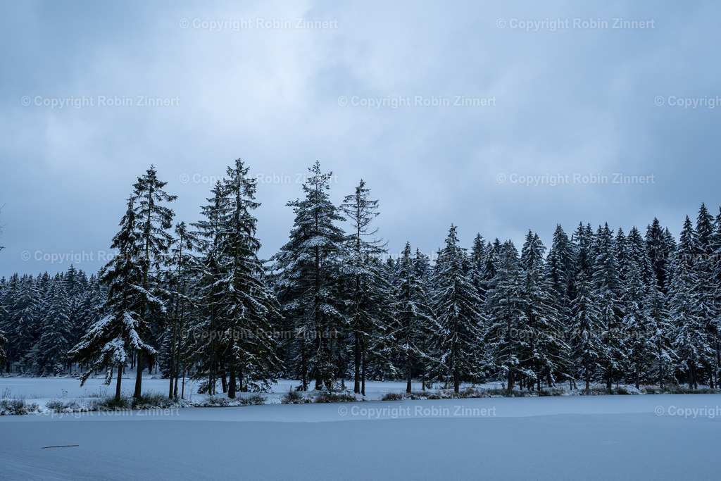 Fichtelsee_Winter00028 | Robin Zinnert - Realisiert mit Pictrs.com