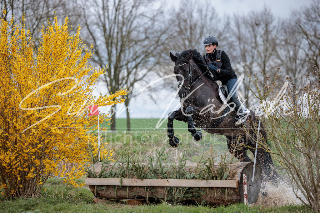 20260329-_3LI4986 | Tierfotografie Pferde, Hunde, Katzen, Haustiere.
Turnierfotografie Reitturniere, Reiten, Springreiten, Dressur in Hanau, dem Main-Kinzig-Kreis und dem Rhein-Main- Gebiet um Frankfurt
