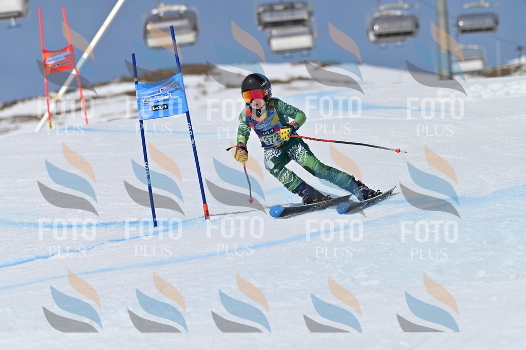 BGV_7352 | holidayphoto