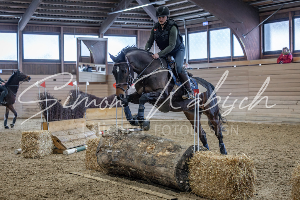 20260221-_3LI0007 | Tierfotografie Pferde, Hunde, Katzen, Haustiere.
Turnierfotografie Reitturniere, Reiten, Springreiten, Dressur in Hanau, dem Main-Kinzig-Kreis und dem Rhein-Main- Gebiet um Frankfurt