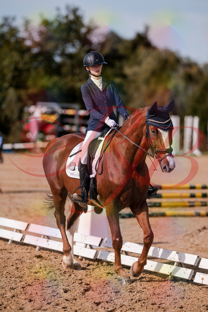2026_10_03_Siefer-Hof_132738_Z81_82450386 | Professionelle Reitsport-, Turnier- und Eventfotografie von Robert Broda. Galerien mit ausgewählten und bearbeiteten Bildern direkt online ansehen und bestellen.