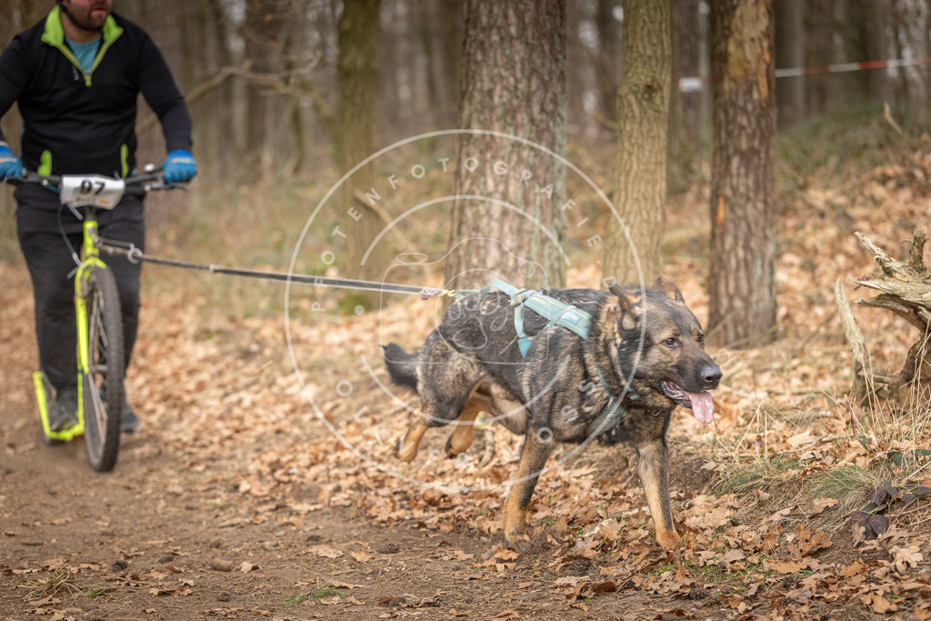 Pfotenfotografie_DV3A7427 | Hundefotografie, Tierfotograf, Pfotenfotografie, Fotoshooting Hund, Hunde Portrait, Hundesport, Hundeportraits, Heideshooting, Hunde, Sportfotograf, Hundefotograf, Turnierhundsport, THS,  - Realisiert mit Pictrs.com