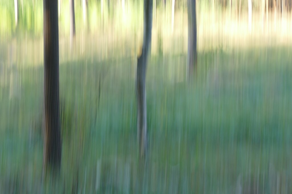 P4050586_a | Annaeherungen - Realisiert mit Pictrs.com