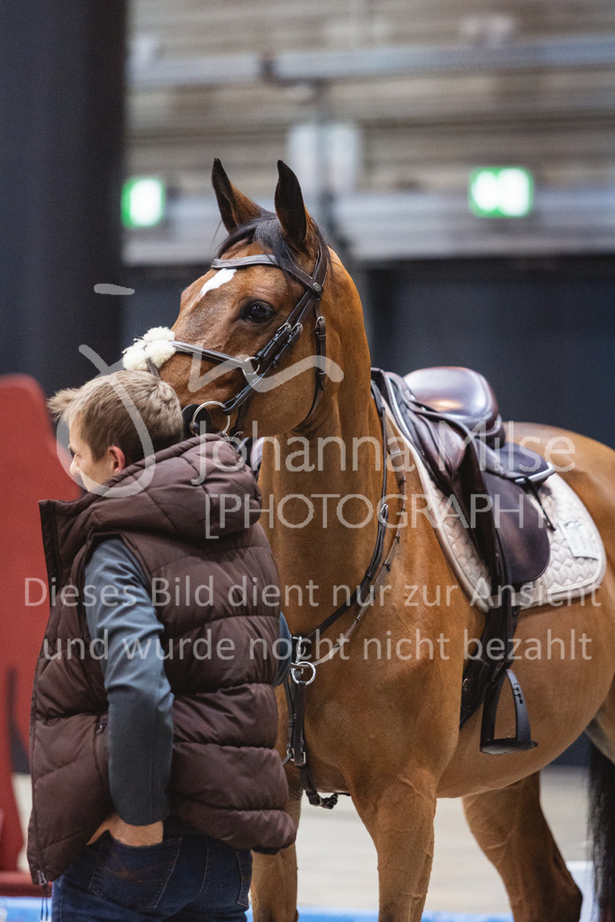 231028_Oldenburg_S1-Spr_Amateure-103 | Deine schönsten Turniermomente als professionelle Fotos! Entdecke hochwertige Pferdesport-Fotografie im Online-Shop. Jetzt Fotos finden & bestellen!
