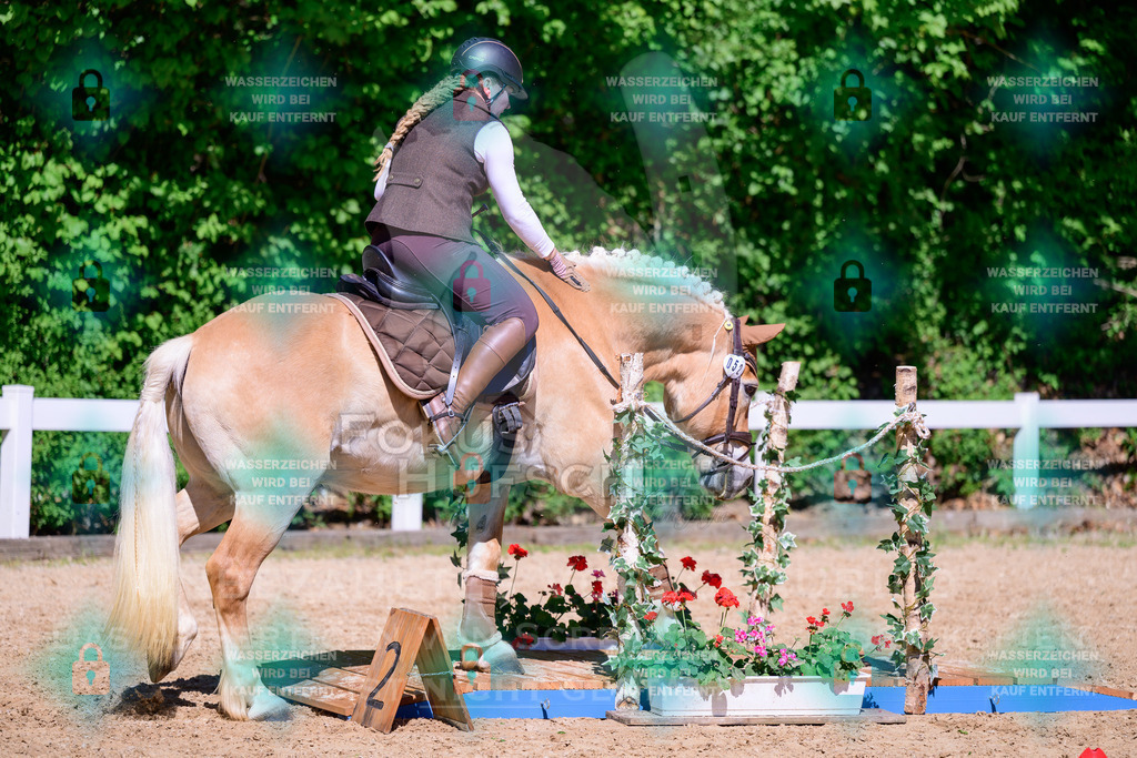 01052026-Giesenbach-02-Stiltrail-0495 | Fokus Hufschlag Fotografie - Realisiert mit Pictrs.com