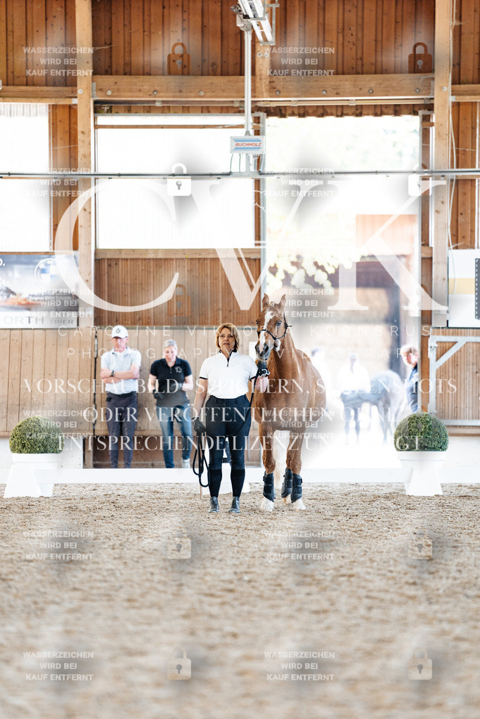 CK906567 | Turnierfotografie Pferdefotografie Trier Rheinland-Pfalz Pferdesport Reitsport Tierfotografie Sportfotografie Pferdevideo Pferdevideografie Equestrianvideography equestrianphotography  - Realisiert mit Pictrs.com