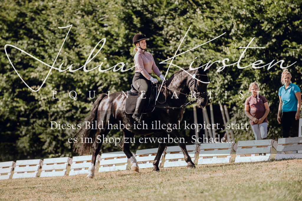 DSC_7034 | Pferde- und Turnierfotografie in Westsachsen. Pferdeportraits, Auftragszeichnungen und intuitive Kunst.