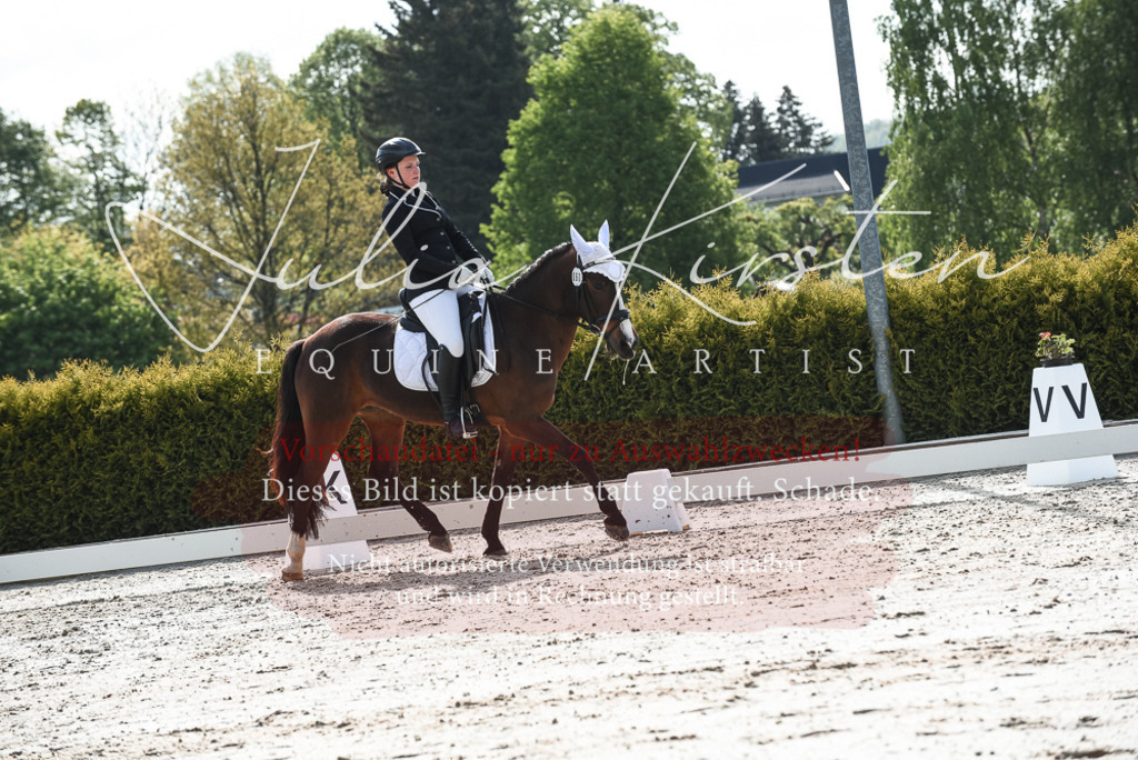 20230518_JK-Röhrsdorf-09-1369 | Pferde- und Turnierfotografie in Westsachsen. Pferdeportraits, Auftragszeichnungen und intuitive Kunst.