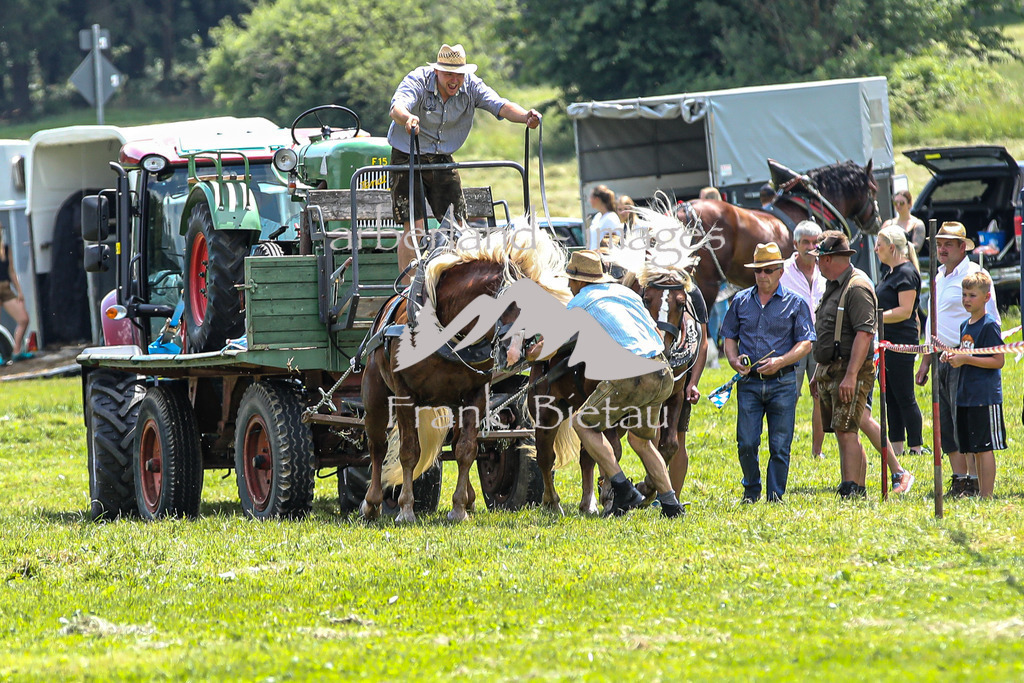 OE7A4495 | Beim Zugpferdetreffen in Poschedtsried galt es verschiedene Wettbewerbe zu meistern, Einzelrennen im Reiten, Traktorpulling und auch ein Hunderennen wurde veranstaltet