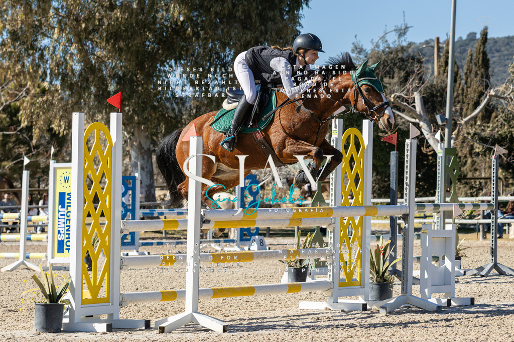 IMG_1224 | s-jay-photography - Realisiert mit Pictrs.com