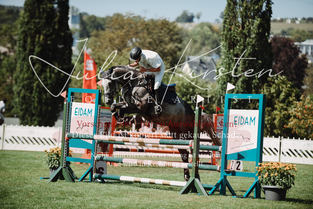 DSC_3188 | Pferde- und Turnierfotografie in Westsachsen. Pferdeportraits, Auftragszeichnungen und intuitive Kunst.