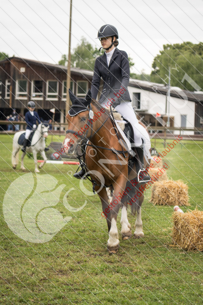 IMG_7988 | Sport-, Event- und Tierfotos in Profiqualität. Einfach auswählen, bestellen und herunterladen. Dein Moment – perfekt festgehalten.