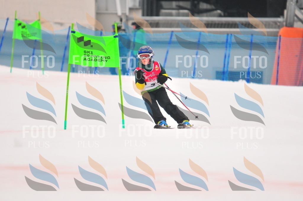 C0346 | holidayphoto