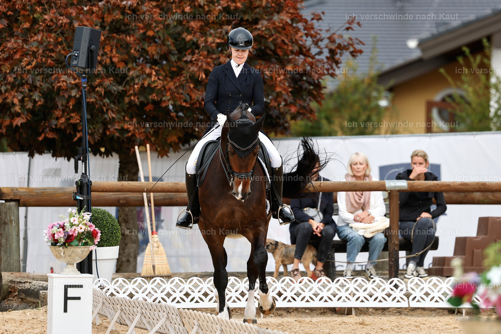 11-091-Dressur S___-StoibPH-1276 | working equitationturnier fotograf videograf stoibphotography marixx film working equitation deutschland reitsport turnierfotografie eventfotografie equestrian events