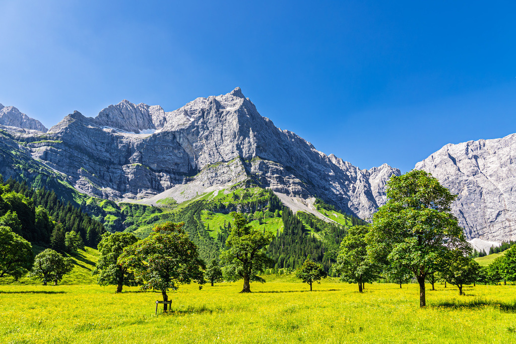Der Große Ahornboden im Rißtal bei der Eng Alm in Österreich | Der Große Ahornboden im Rißtal bei der Eng Alm in Österreich.