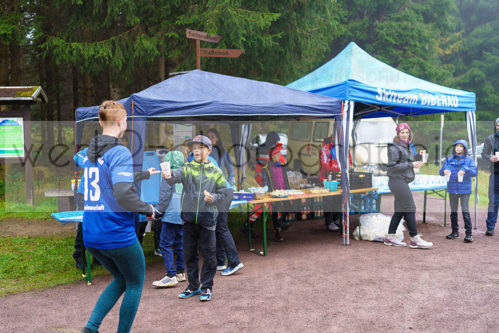 RENNSTEIG-Herbstlauf 2023 | 32. Rennsteig-Herbstlauf, Neuhaus/Rwg. nach Masserberg - 8. Oktober 2023