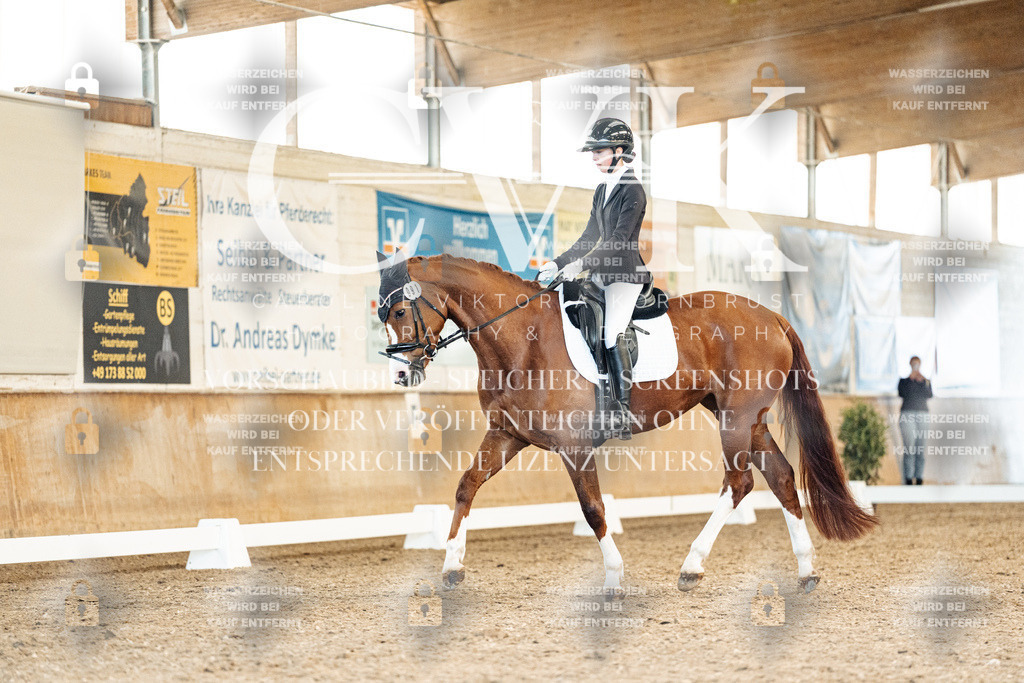 CK909087 | Turnierfotografie Pferdefotografie Trier Rheinland-Pfalz Pferdesport Reitsport Tierfotografie Sportfotografie Pferdevideo Pferdevideografie Equestrianvideography equestrianphotography  - Realisiert mit Pictrs.com