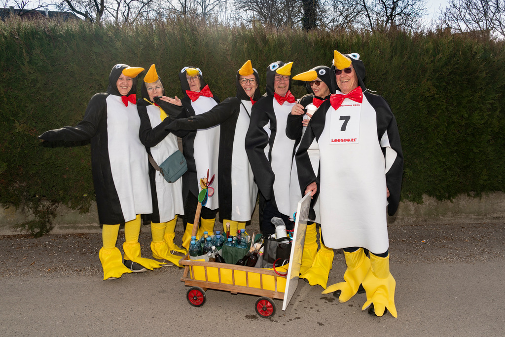 MASKEN-Gruppe_8785 | Fotostrecke: FASCHINGSUMZUG 2025 in Loosdorf. 22 Masken(gruppen)-Teilnehmer: Loosdorfer Vereine, Wirtschaftstreibende, Gemeindeabordnungen sowie Kreditinstitute. rund 700 Besucher entlang der Hauptstrasse. Veranstaltungs-Sicherung durch Mannschaft der FF-Loosdorf mit schwerem Gerät. Maskenprämierung am EKZ-Platz durch Bgm. Thomas Vasku in den Kategorien: Bester Festwagen (Fa. gkonzept-Groissenberger; Beste Personengruppe-ASK-Loosdorf; Beste Einzelperson; Weiteste Anreise-FF Schollach;