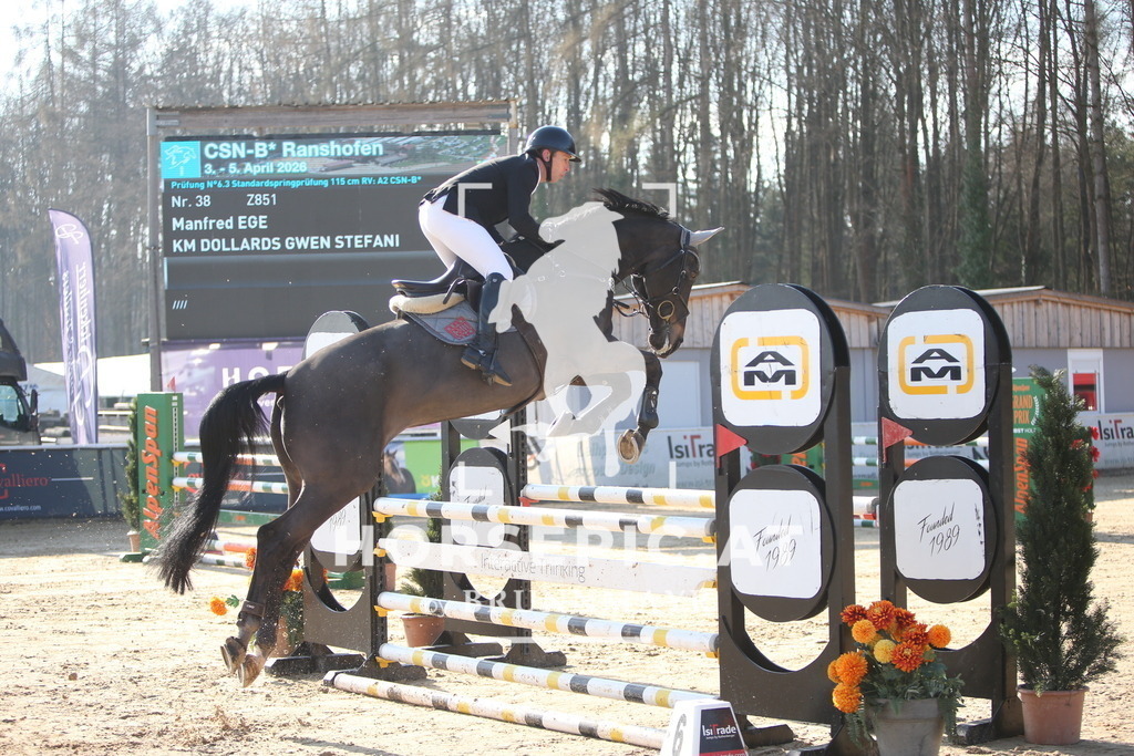 AS8V4990 | Willkommen bei Brunnmayr - Design & Fotografie – Ihrem Spezialisten für Reitturniere und Pferdeveranstaltungen in Oberösterreich, Salzburg und Bayern! Seit über 17 Jahren sind wir leidenschaftlich dabei.