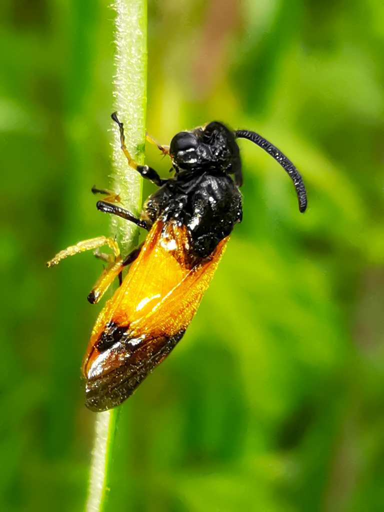 PSX_20230524_231959 | mtkfoto_ - Realisiert mit Pictrs.com